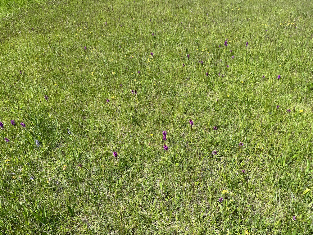 23-05-21 12-31-38 5516